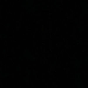 Meet your Posher, Savannah